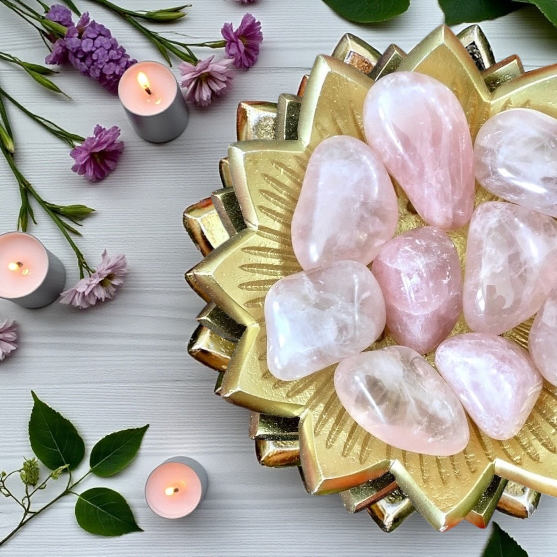 Rose Quartz Tumbles | Large