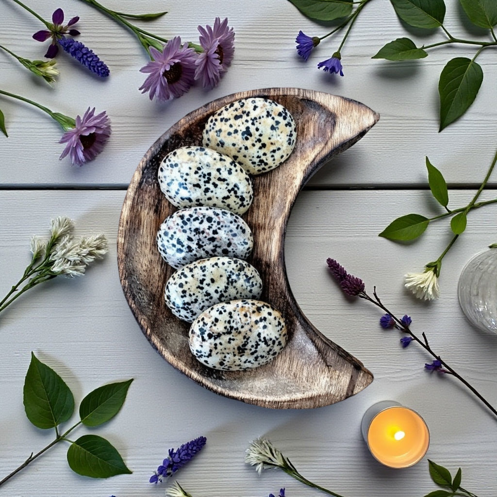 Dalmatian Jasper Pillow Palm Stone