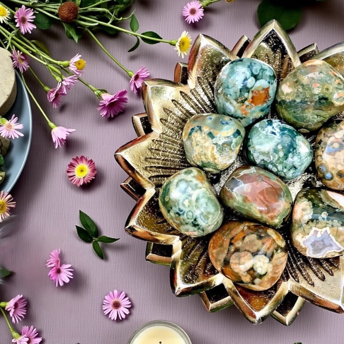 Rainforest Jasper Tumbles | Medium