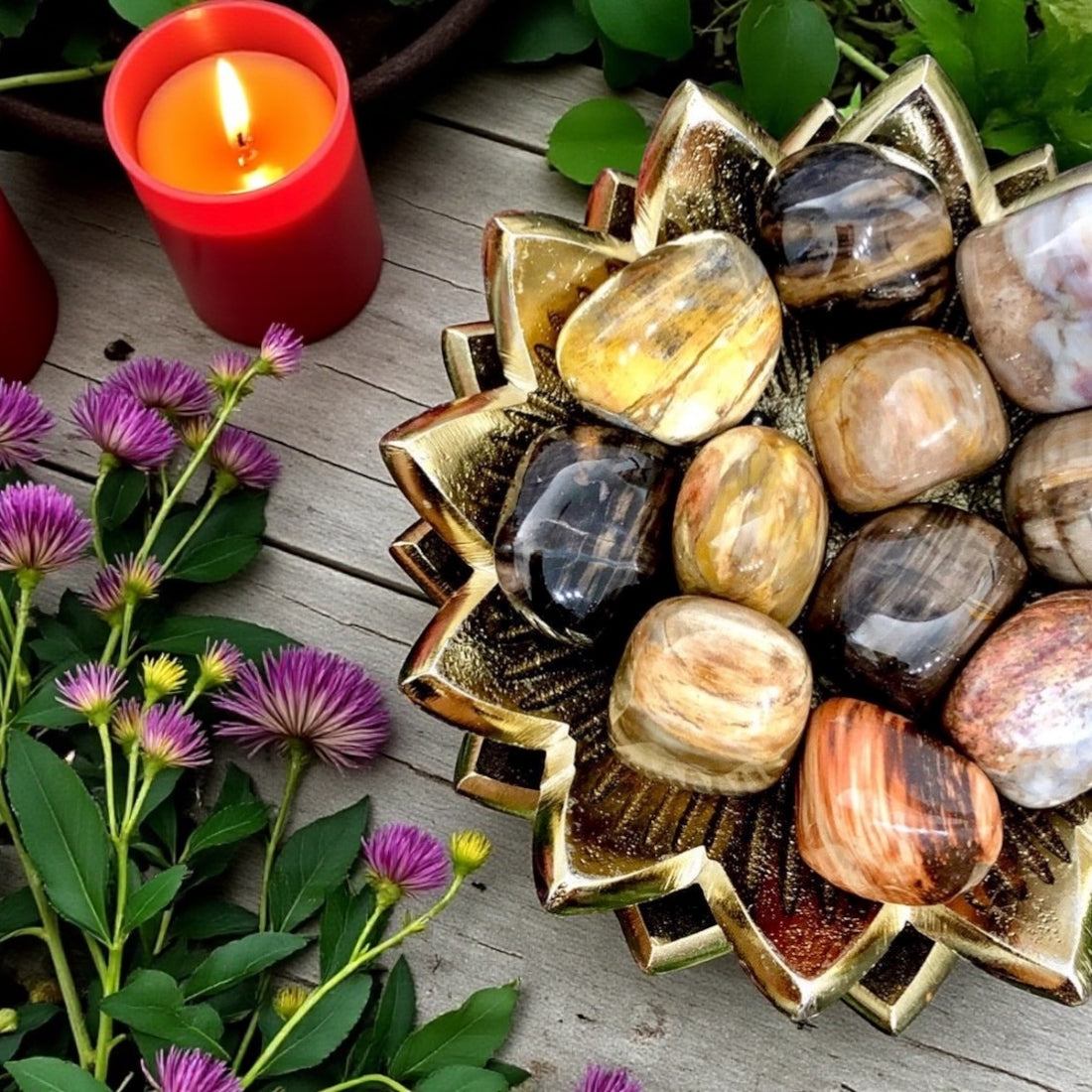 Petrified Wood Tumbles