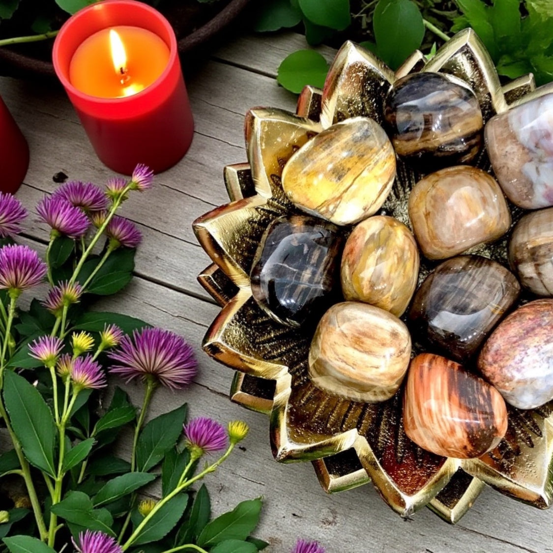 Petrified Wood Tumbles