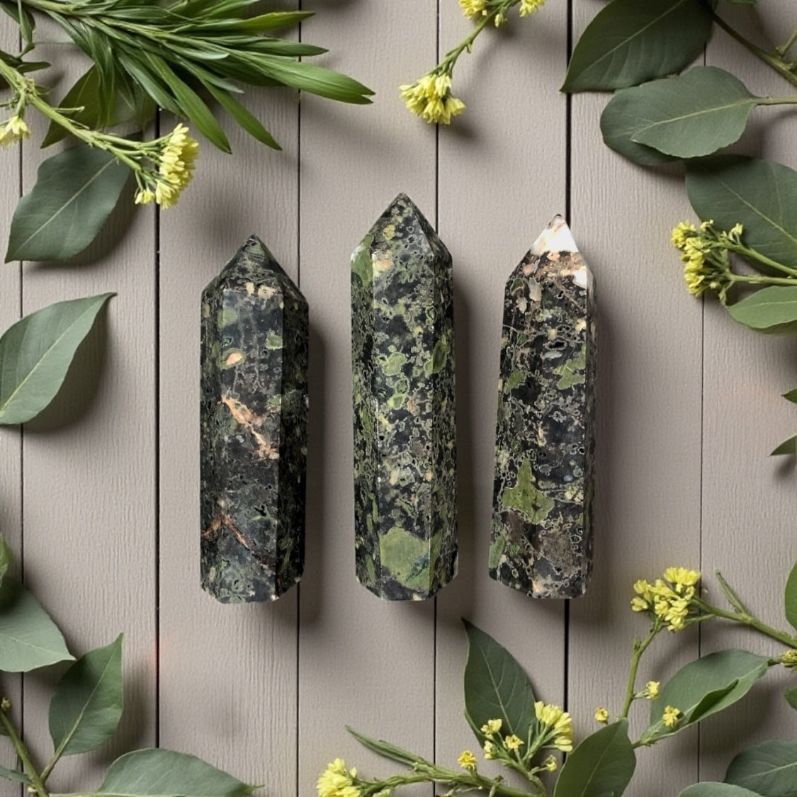 Kambaba Jasper Point