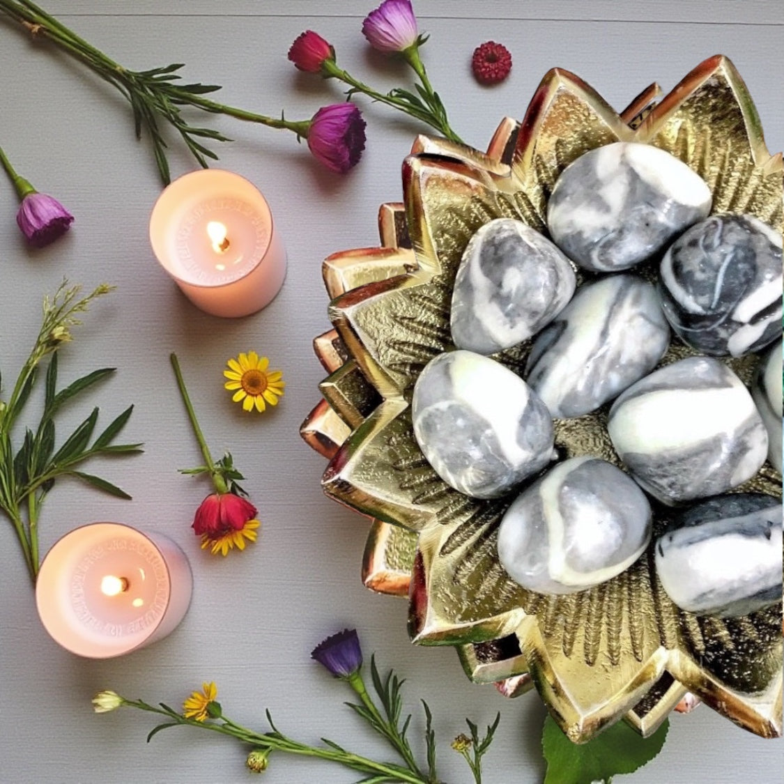 Shell Jasper Tumbles