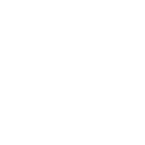 Vyne Crystals